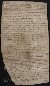 60 B.16.LXr, Donazione fatta da Pietro, Giovanni, Azzo e Domenico a favore di Ingone vescovo, Dugliolo (castel di), [1030-1031, gen. 23]